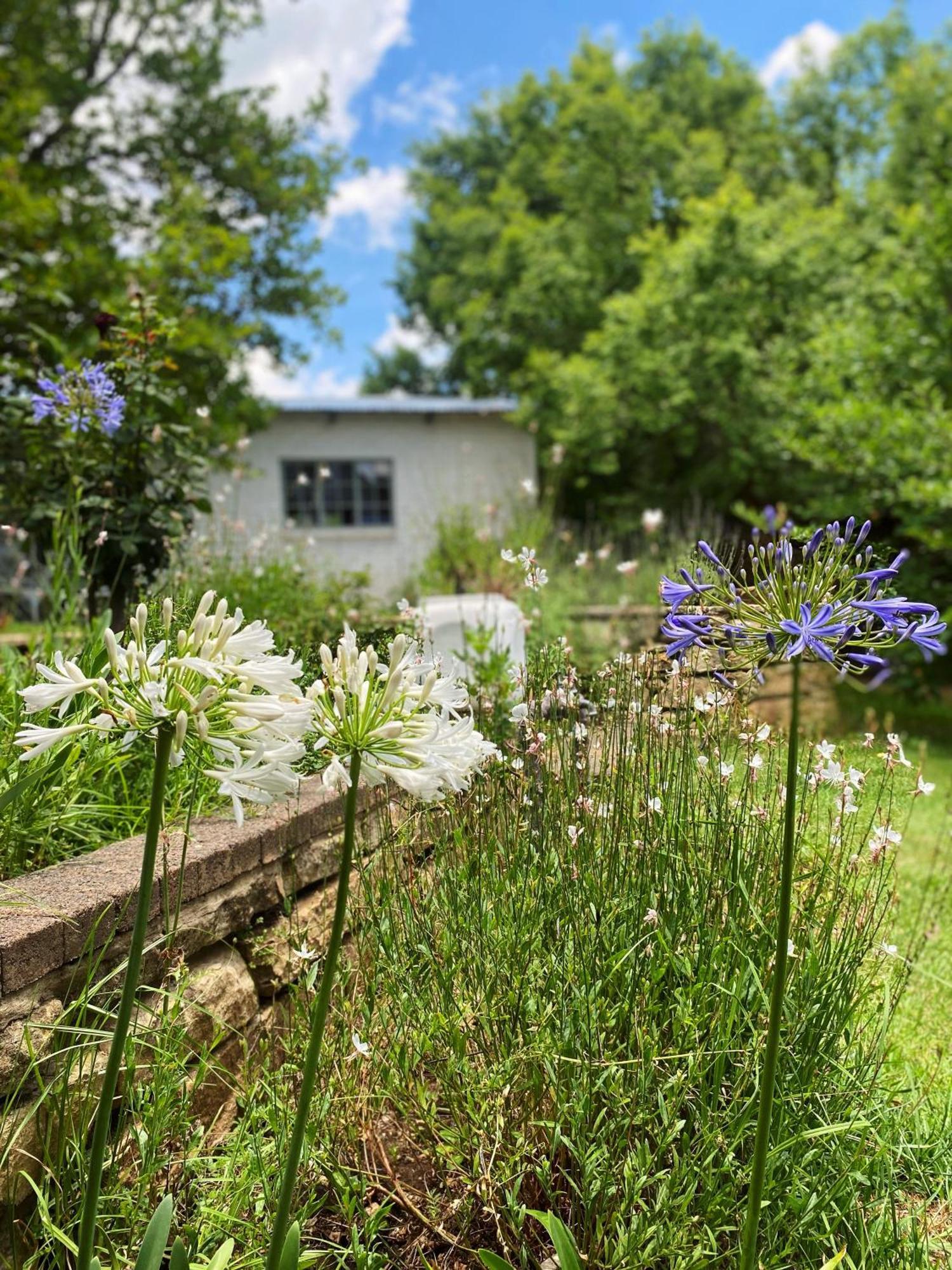 Collett House And Lavender Cottage Clarens Eksteriør billede