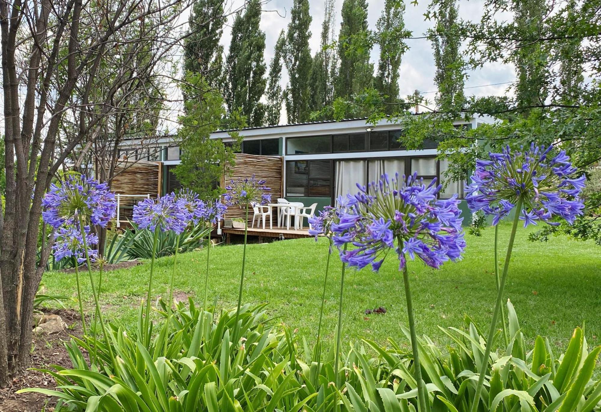 Collett House And Lavender Cottage Clarens Eksteriør billede